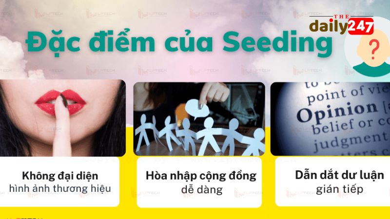 Seeding là gì? 