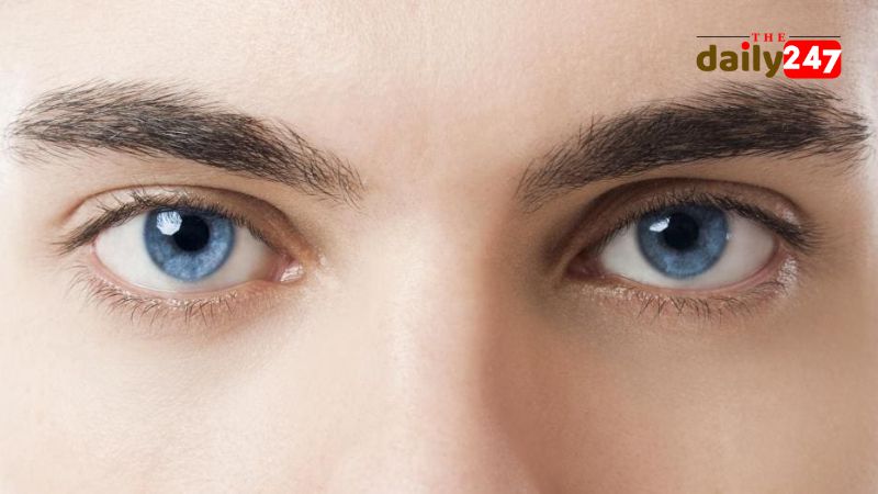Mắt Tam Bạch là gì - Đặc điểm ngoại hình độc đáo và hiếm có